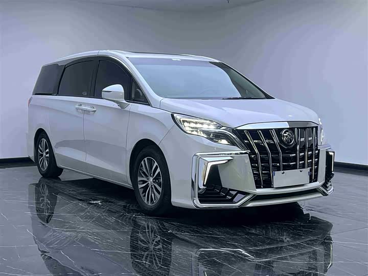 Фото 3 - Buick GL8 ES