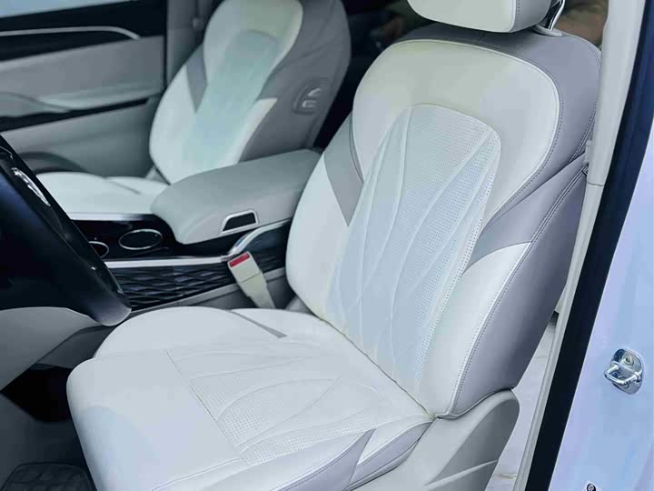 Фото 5 - Buick GL8 ES