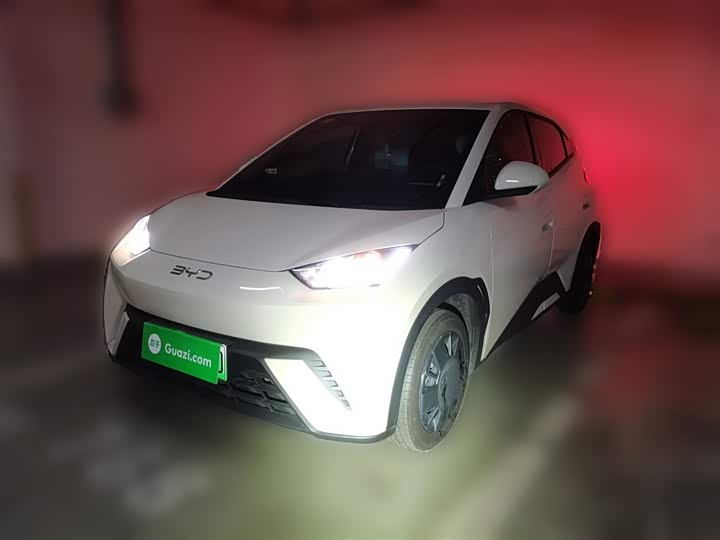 Фото 1 - BYD Seagull