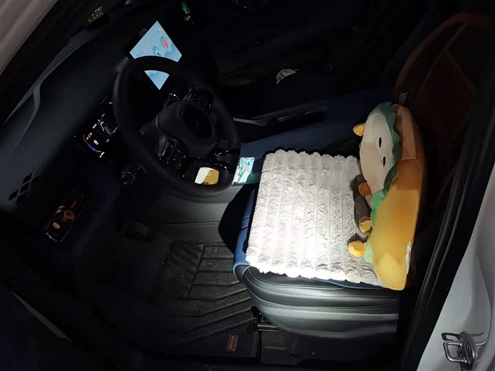 Фото 8 - BYD Seagull