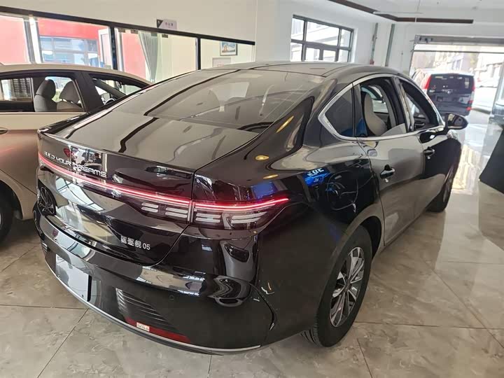 Фото 6 - BYD Destroyer 05