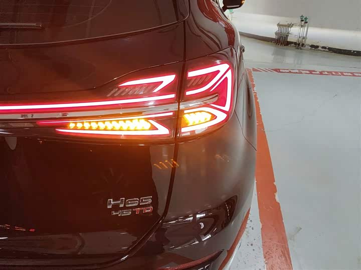 Фото 8 - Hongqi HS5