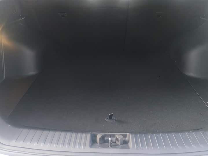 Фото 4 - Geely Okavango Pro