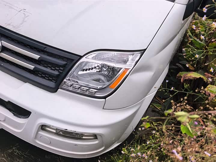 Фото 5 - Maxus V80