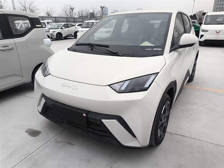 Фото 2 - BYD Seagull