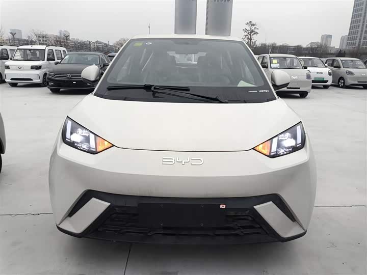 Фото 3 - BYD Seagull