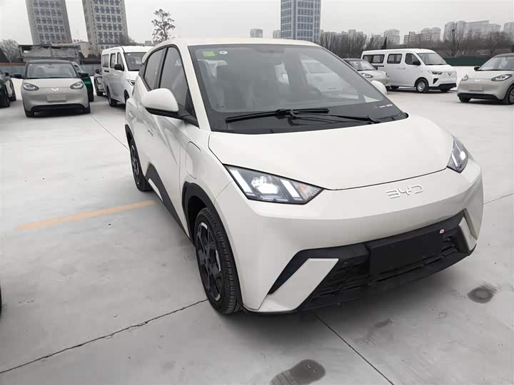 Фото 4 - BYD Seagull