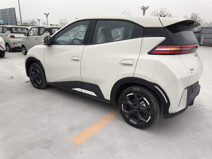 Фото 5 - BYD Seagull