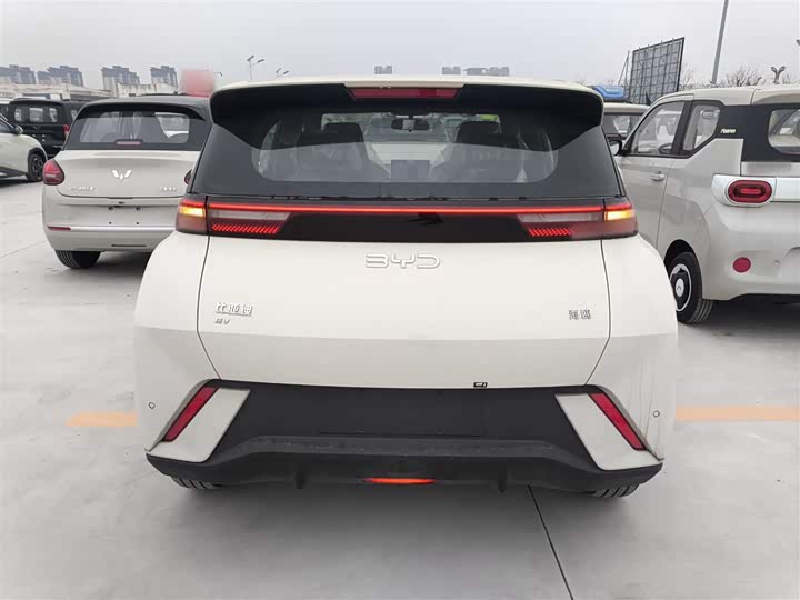 Фото 6 - BYD Seagull