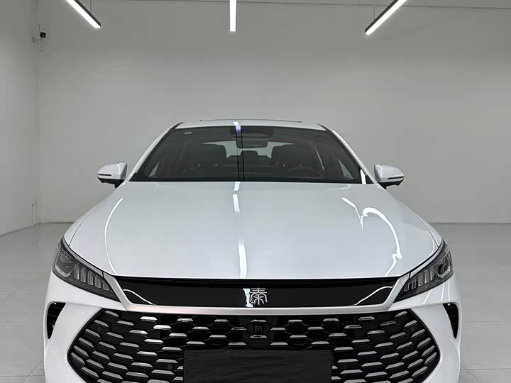 Фото 2 - BYD Qin Plus