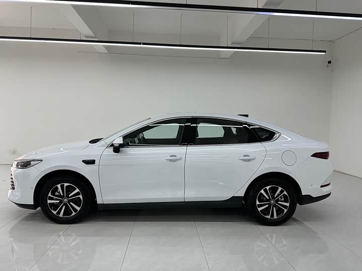 Фото 4 - BYD Qin Plus