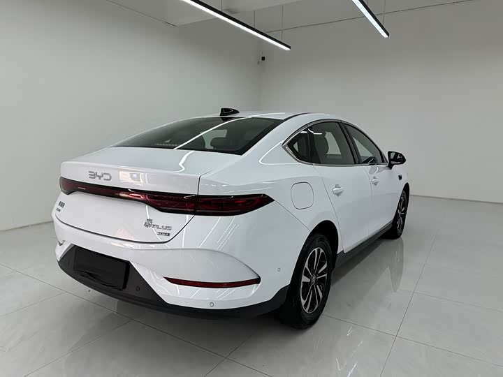 Фото 6 - BYD Qin Plus