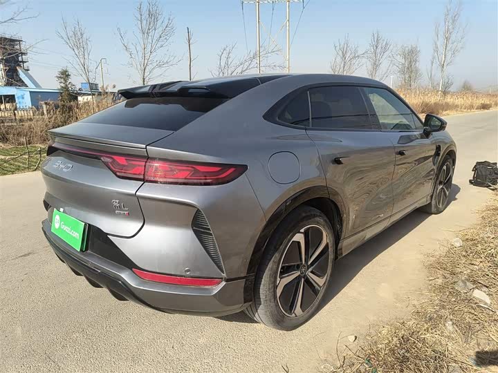 Фото 7 - BYD Song L