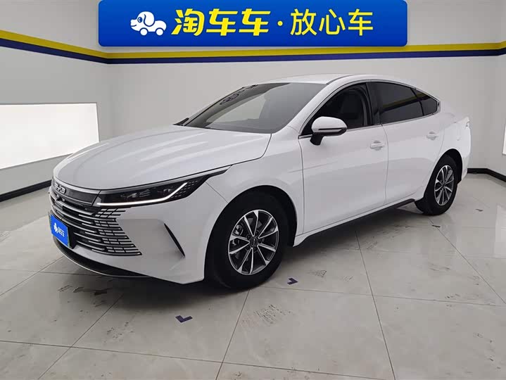 Фото 1 - BYD Destroyer 05