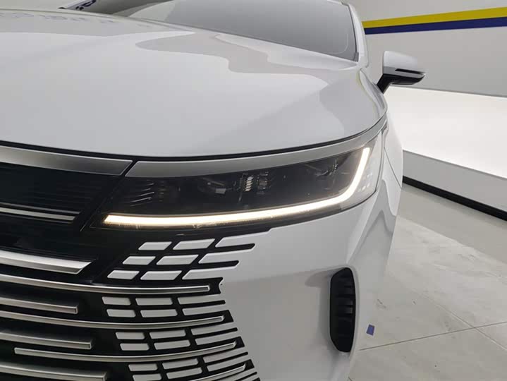 Фото 5 - BYD Destroyer 05