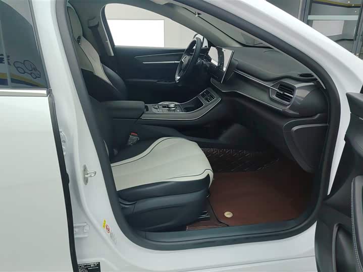 Фото 8 - BYD Destroyer 05