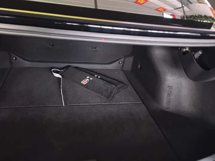 Фото 4 - Hongqi E-QM5