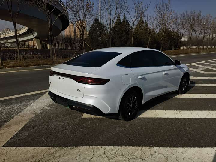 Фото 5 - BYD Qin L