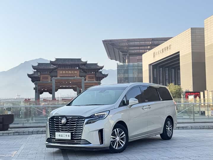 Фото 1 - Buick GL8 ES