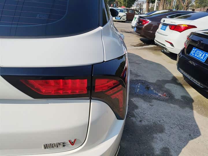 Фото 8 - Hozon V