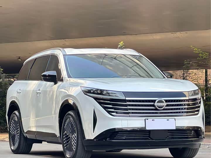 Фото 3 - Nissan Pathfinder