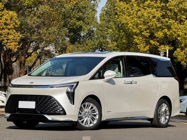 Фото 1 - Buick GL8 Century