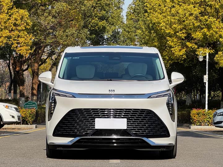 Фото 2 - Buick GL8 Century