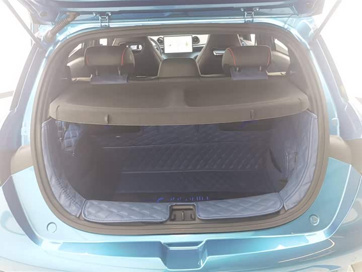 Фото 4 - BYD Dolphin