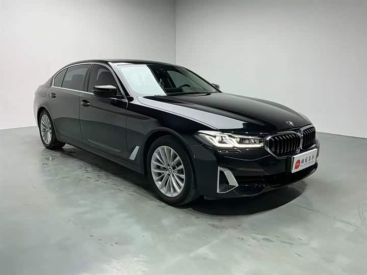 Фото 3 - BMW 5 Series Hybrid