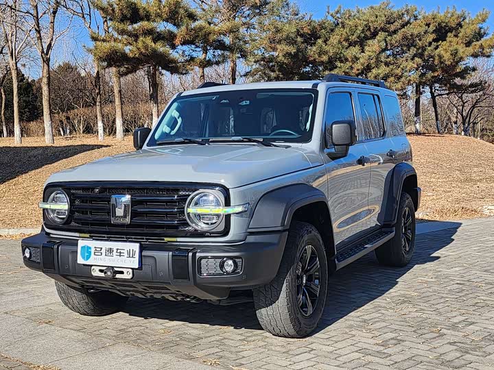 Фото 1 - Tank 300