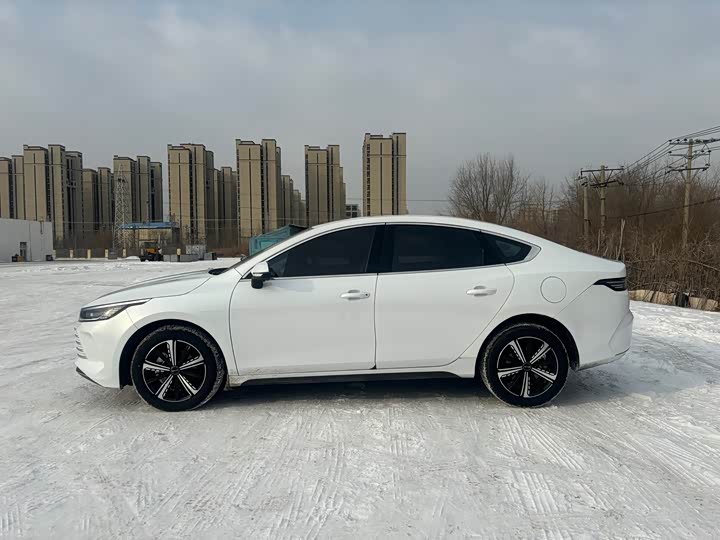 Фото 4 - BYD Destroyer 05