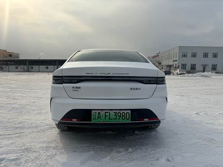 Фото 6 - BYD Destroyer 05