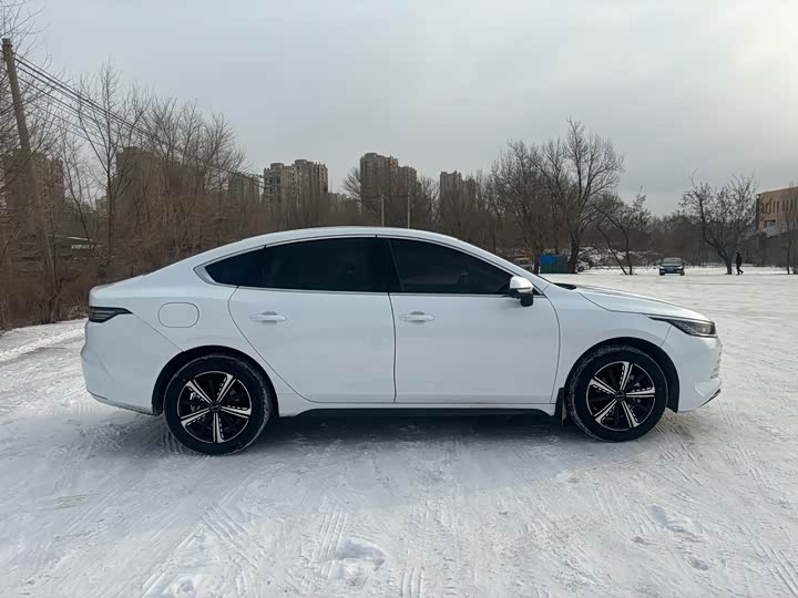 Фото 8 - BYD Destroyer 05