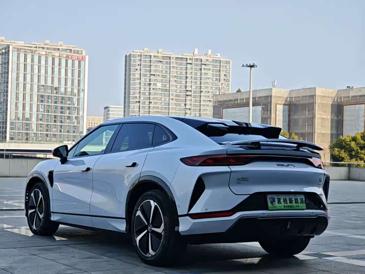 Фото 4 - BYD Song L