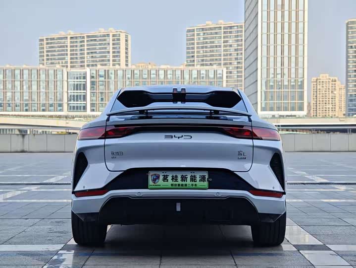 Фото 5 - BYD Song L