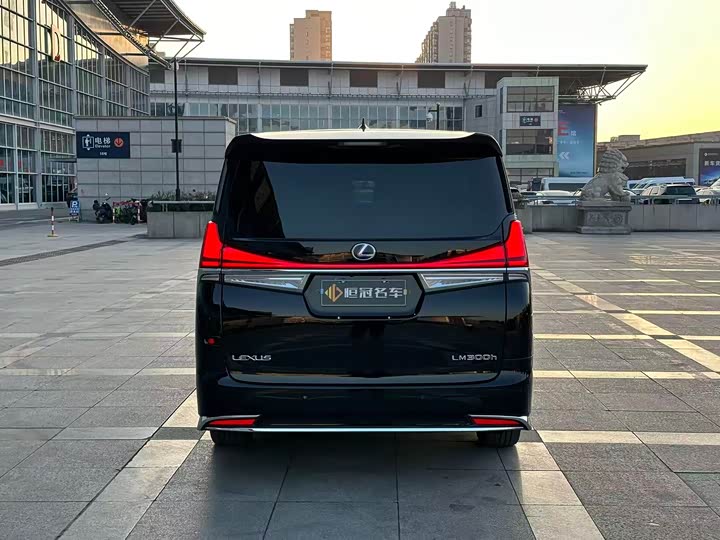 Фото 7 - Lexus LM