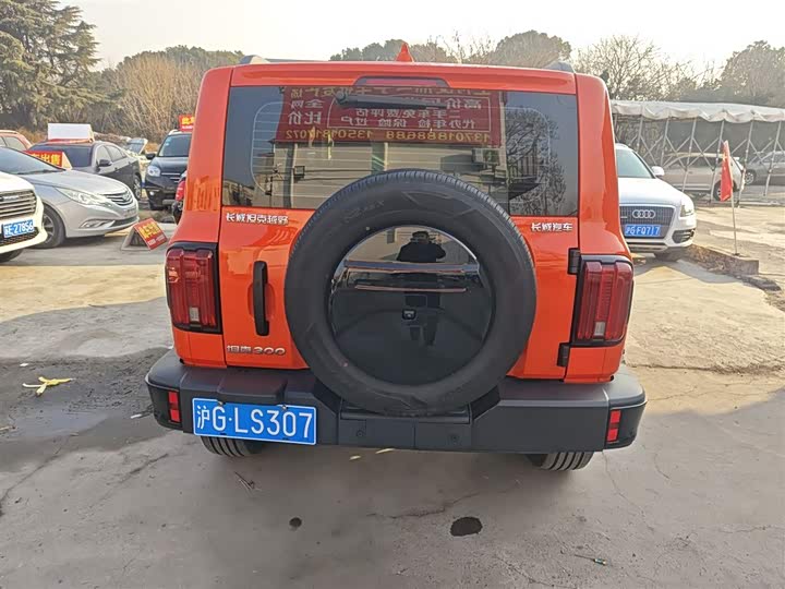 Фото 6 - Tank 300