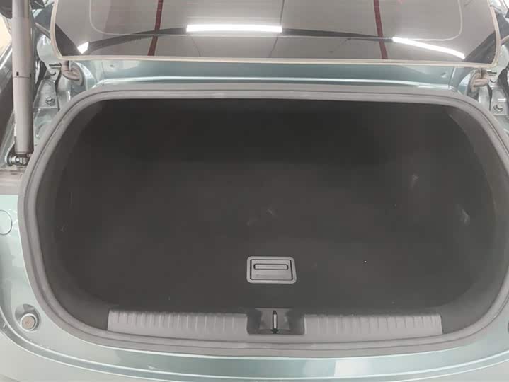 Фото 4 - XPeng P7