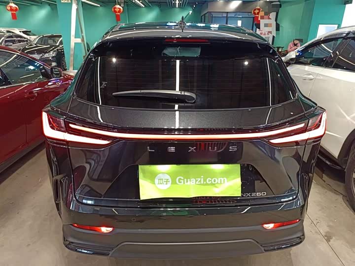 Фото 6 - Lexus NX