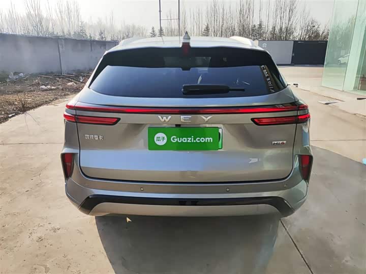 Фото 6 - Wey Mocca Hybrid