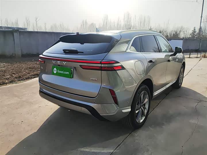 Фото 7 - Wey Mocca Hybrid