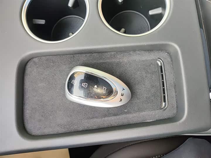 Фото 9 - Wey Mocca Hybrid