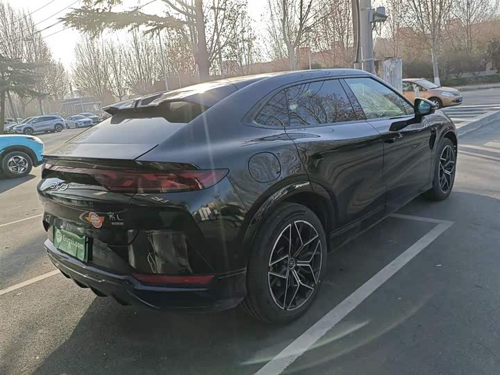 Фото 6 - BYD Song L