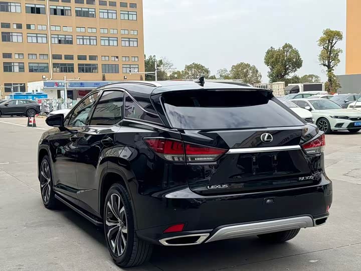 Фото 8 - Lexus RX