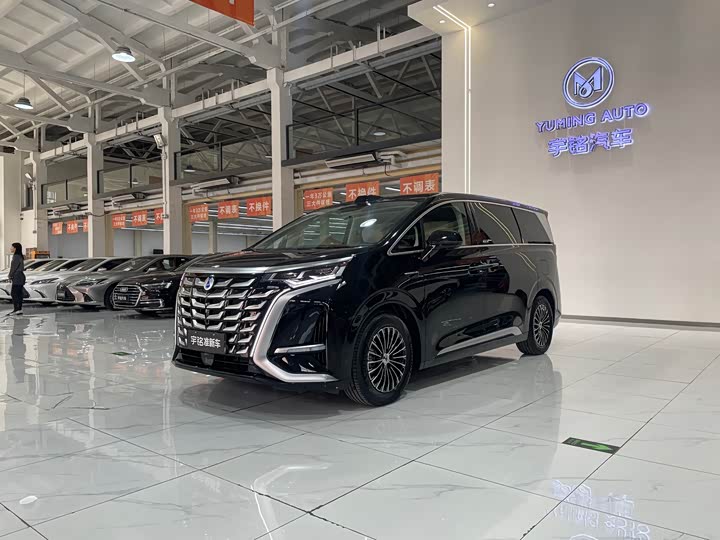 Фото 1 - Denza D9