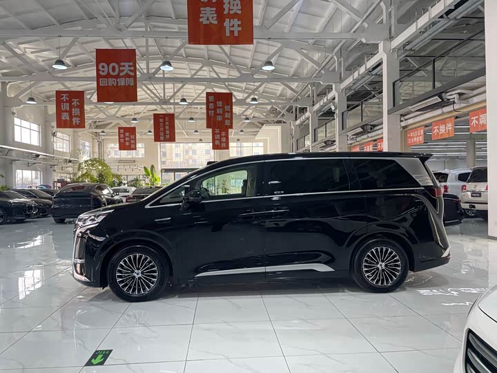 Фото 2 - Denza D9