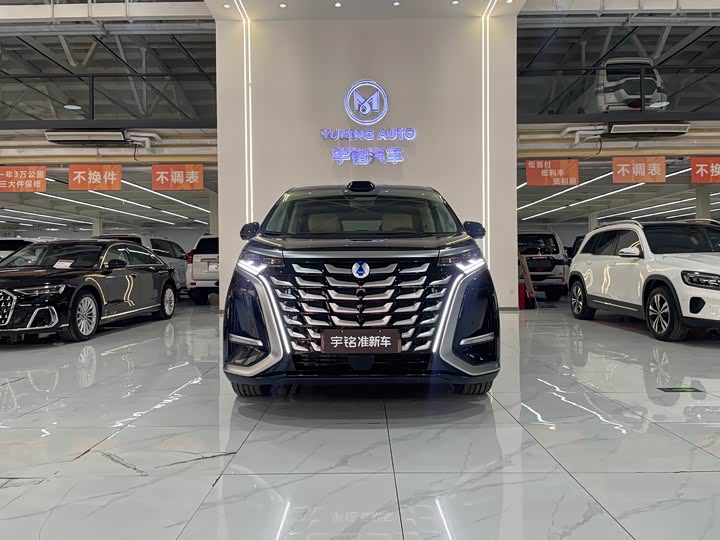 Фото 4 - Denza D9