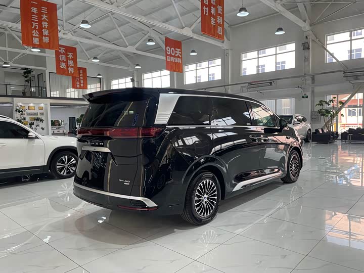 Фото 6 - Denza D9