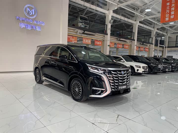 Фото 7 - Denza D9