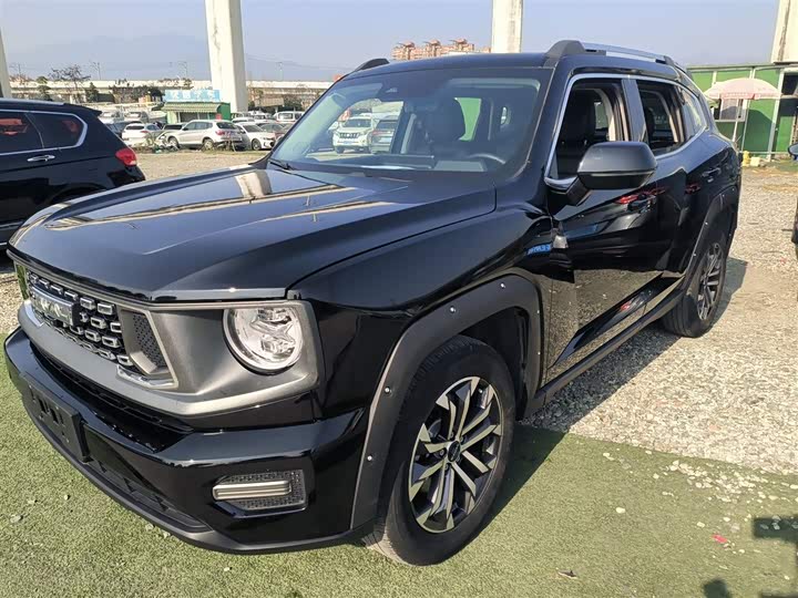 Фото 2 - Haval H-Dog